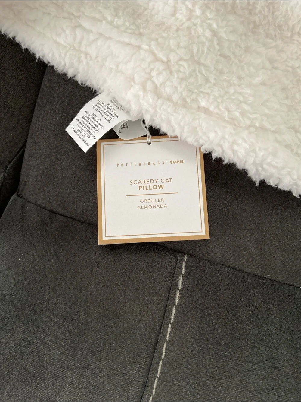 Scaredy Cat Pillow Pottery Barn NWT